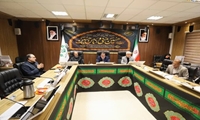 برگزاری جلسه مشترک کمیسیون های برنامه ، بودجه و فرهنگی ، اجتماعی شورای اسلامی شهر رشت به روایت تصویر