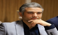 سید حسین رضویان رئیس کمیسیون توسعه پایدار 