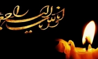 ریاست محترم کمیسیون توسعه پایدارشورای اسلامی شهررشت جناب آقای دکتررضویان 
