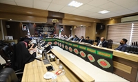 سیدحسین رضویان رئیس کمیسیون توسعه پایدار شورای شهر رشت: