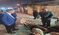 دیدار دکتر سیدشمس شفیعی نایب رئیس شورای اسلامی شهر رشت با مادر شهید فتحی/  پیگیری آسفالت کوچه توسط شهرداری منطقه ۵ و نصب درپوش اگو فاضلاب توسط آبفا